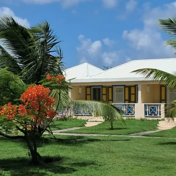 WhatsApp Image 2024-08-23 à 15.22.23_c3805e8d