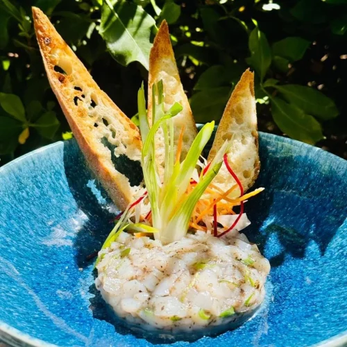 WhatsApp Image 2024-10-31 à 09.21.36_bd354de1