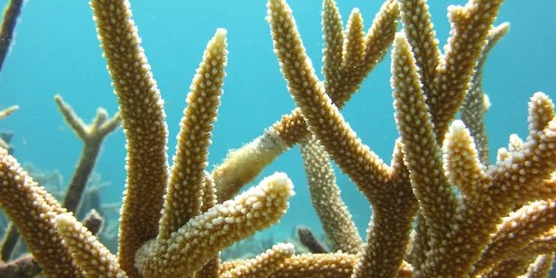 ajjbultnxfuy4t2g7kpj4703id3u