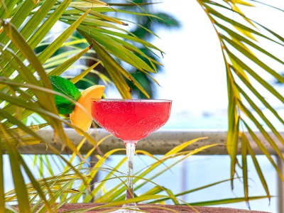 aju1mz4d6f2p6l156hgegjty0rqs (1)