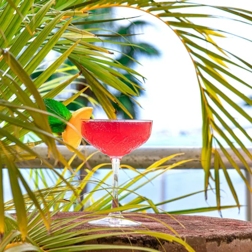 aju1mz4d6f2p6l156hgegjty0rqs (1)