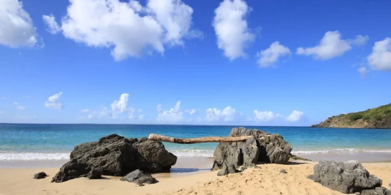 az50x5epnfssxtv27anchdk6bs13