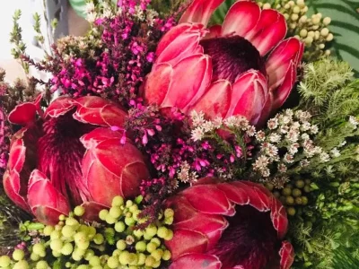 bdai3qfvkelma14hfe80nnb9hrth (1)