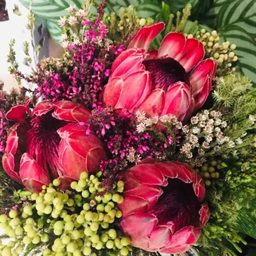 bdai3qfvkelma14hfe80nnb9hrth (1)