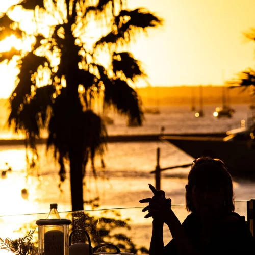 bdgr2fdxa0wtxb8nzc2c2a77rc30 (1)