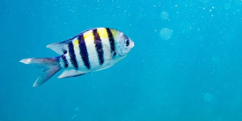 big_20190628102542_NW