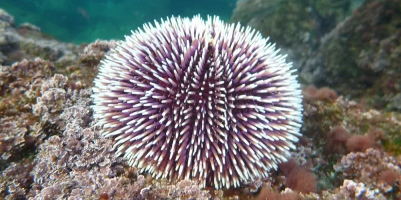 big_20190730121605_BR