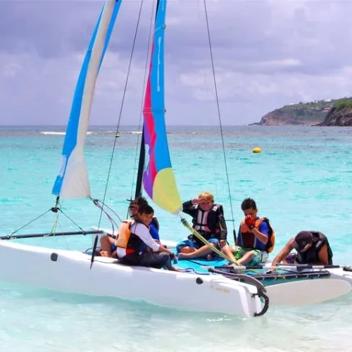 btdisd85y4k2gylo5gy80l74sd3s