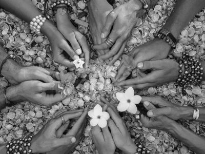 bw1lzv2jnr7zc6mrqlx6zz834bp3