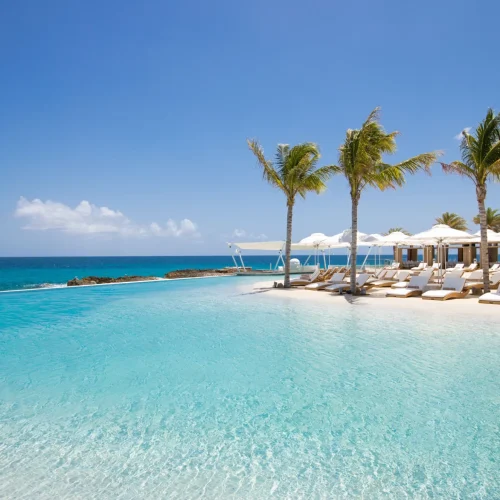 c0wmcywdq2tkphh42zt01kjw71mz (3)