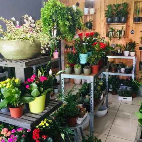 c4gx7uej8w9ilwf8xs7gw7t52jvb (1)