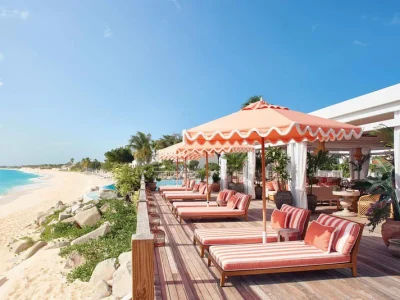 d086vk32fl3q4zigl7vyd9h6d532 (2)