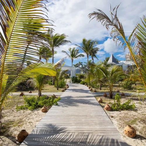 d4kvnipqhl2qn52b6ih7d6ha7dev (1)