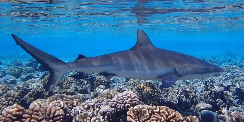 d541c67c132b82e6fb21d3eacfe954ea