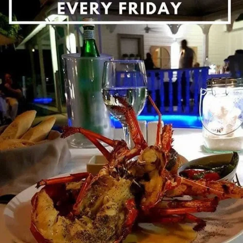 dffs2ngg3ejecqqk4pkewhaoos26 (1)