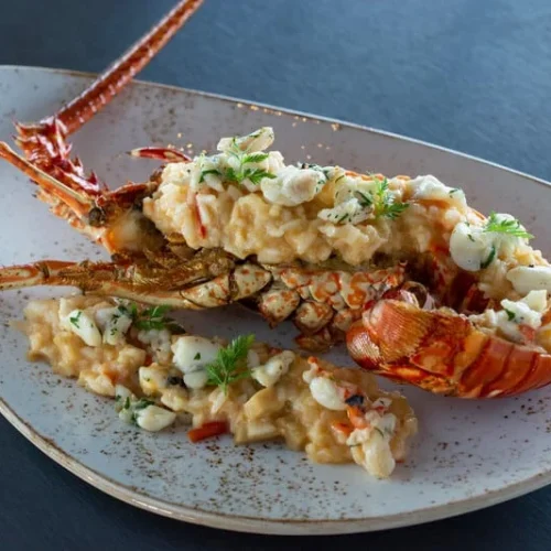 e15m5a6zgmyzz43c7dcynm4x3o9f