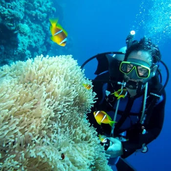 e3i0zmopqcj6go7onxh3bm130fzm (1)