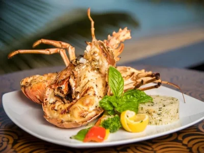 eaenaoube7yzq0qef9ibq70hm8gp