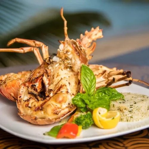 eaenaoube7yzq0qef9ibq70hm8gp