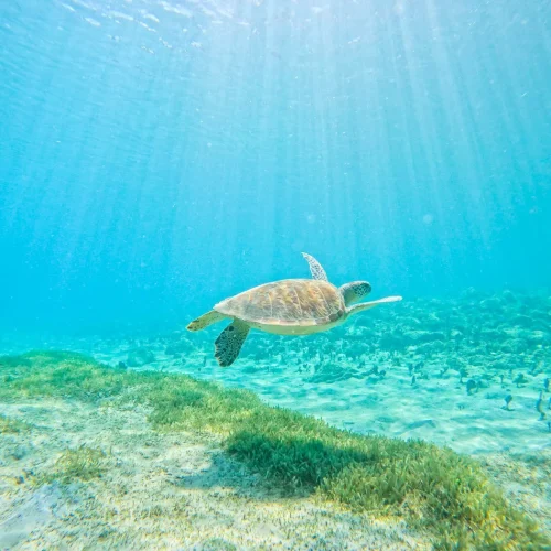 ee017702-359f-4934-b062-96500499aeef