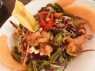 ercae7euge367x5cr9qsj6kotczp (1)