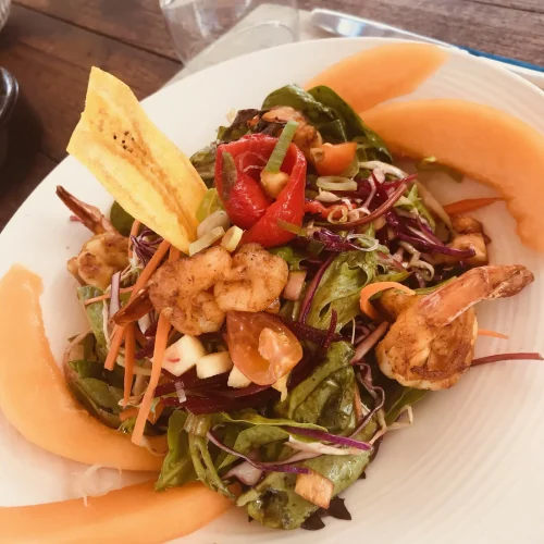 ercae7euge367x5cr9qsj6kotczp (1)