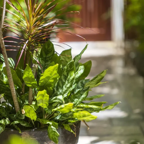 f5bo10x43meexf26dzwbr40kudnm (1)