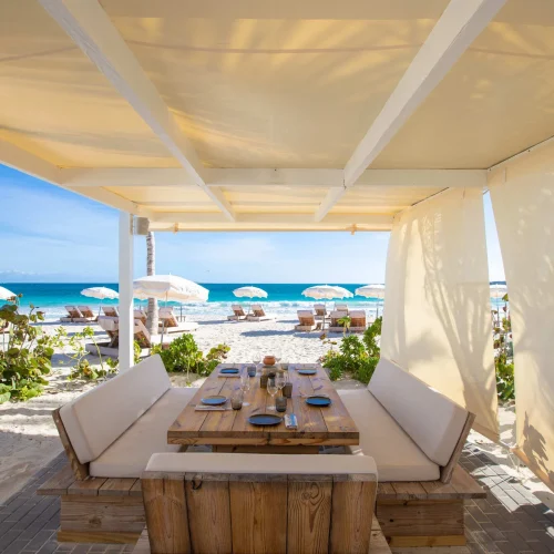 g3k7g3pn4rw49tifgn0ax49970nc (1)