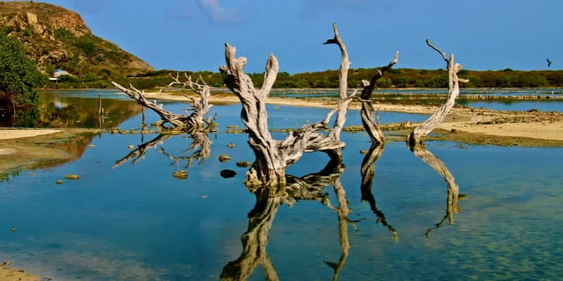 gljiibh1slffkdtzl8mguujs7f3z