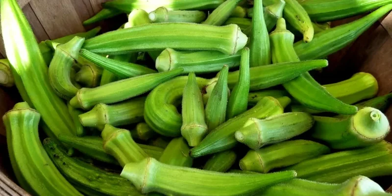 gombos-flickr-5001531676_eb4e9e5d23_c