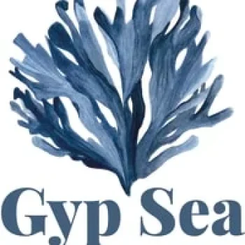 gs4xn7ys7zt4urgffbep6j6v41o4