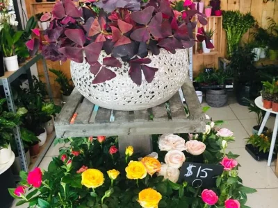 hes0iq6hxvnvr0a0800luxk06f7p (1)