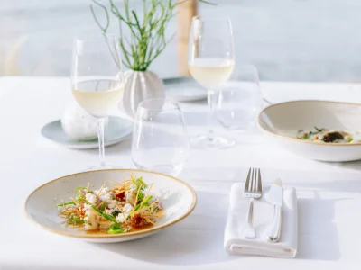 hugo allard © Dinner-20