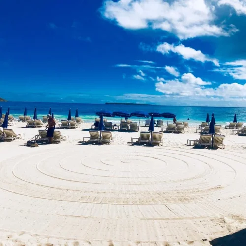 hwx5xnjm1jo5642xut9arbw6o24g (1)