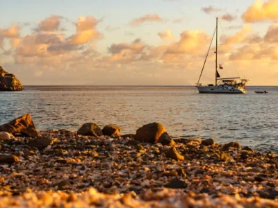 istockphoto-1010133236-612x612