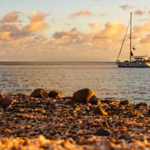 istockphoto-1010133236-612x612