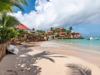 istockphoto-1906857740-612x612