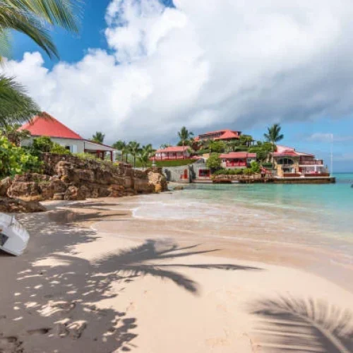 istockphoto-1906857740-612x612