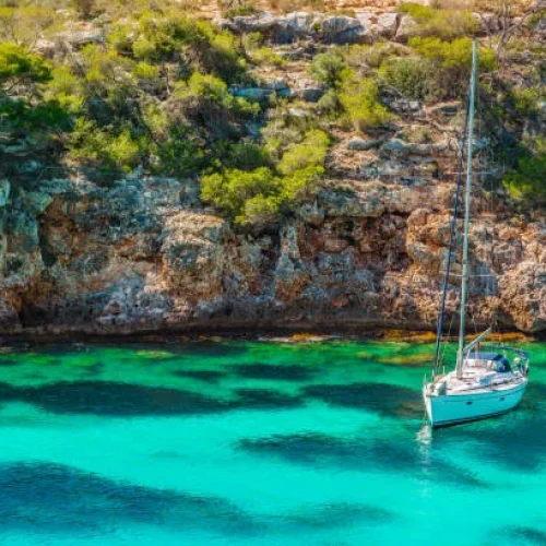 istockphoto-951021592-612x612