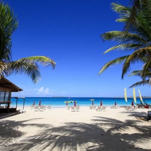 itt4e2pe5xysqxqe3hsnba2arni1