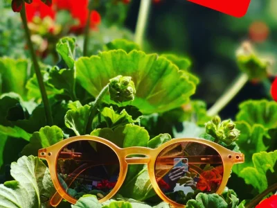 jd0x677x726flym9rs9zlv2r02e4