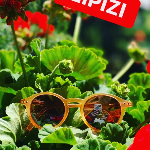 jd0x677x726flym9rs9zlv2r02e4