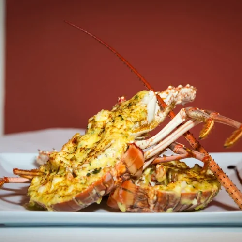 jofp1akmu7b90fx447zh3c1dprkn (2)