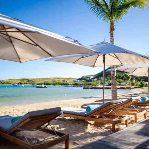 jqej7mvpaq9o11m2iku4tn55u7vx