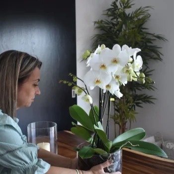 kej11zab6f777p6eb4ubvehf39t4