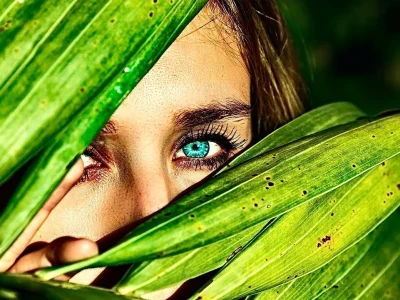 kmioq8y5azbx29t3m497g5gjuu8p