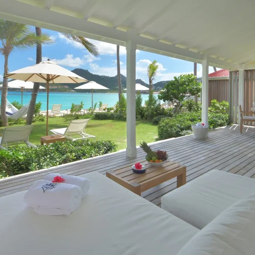 lh8bncgpxceaeax65mc5csz87t50