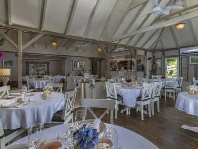 md95cy2dvjrwjjzod6q3putycaka (2)