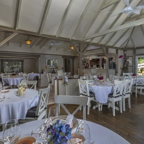 md95cy2dvjrwjjzod6q3putycaka (2)