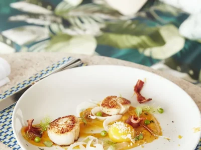 mg0f1s0fmzrhk9lb8vp359wjs264